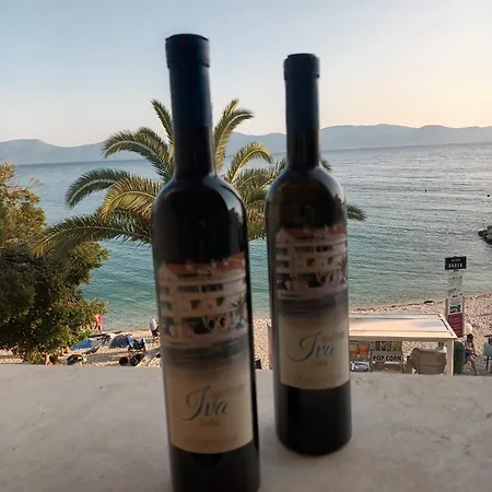 Iva Apartment Gradac (Split-Dalmatia)